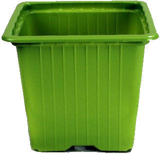 vert clair 