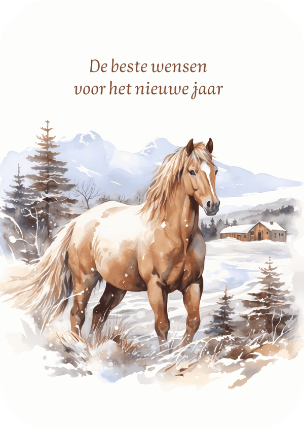 AAN8