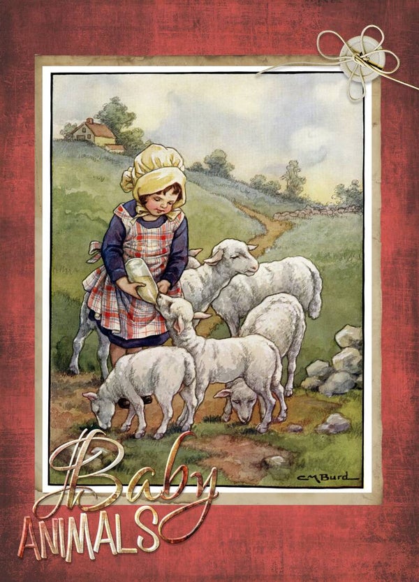 BK4