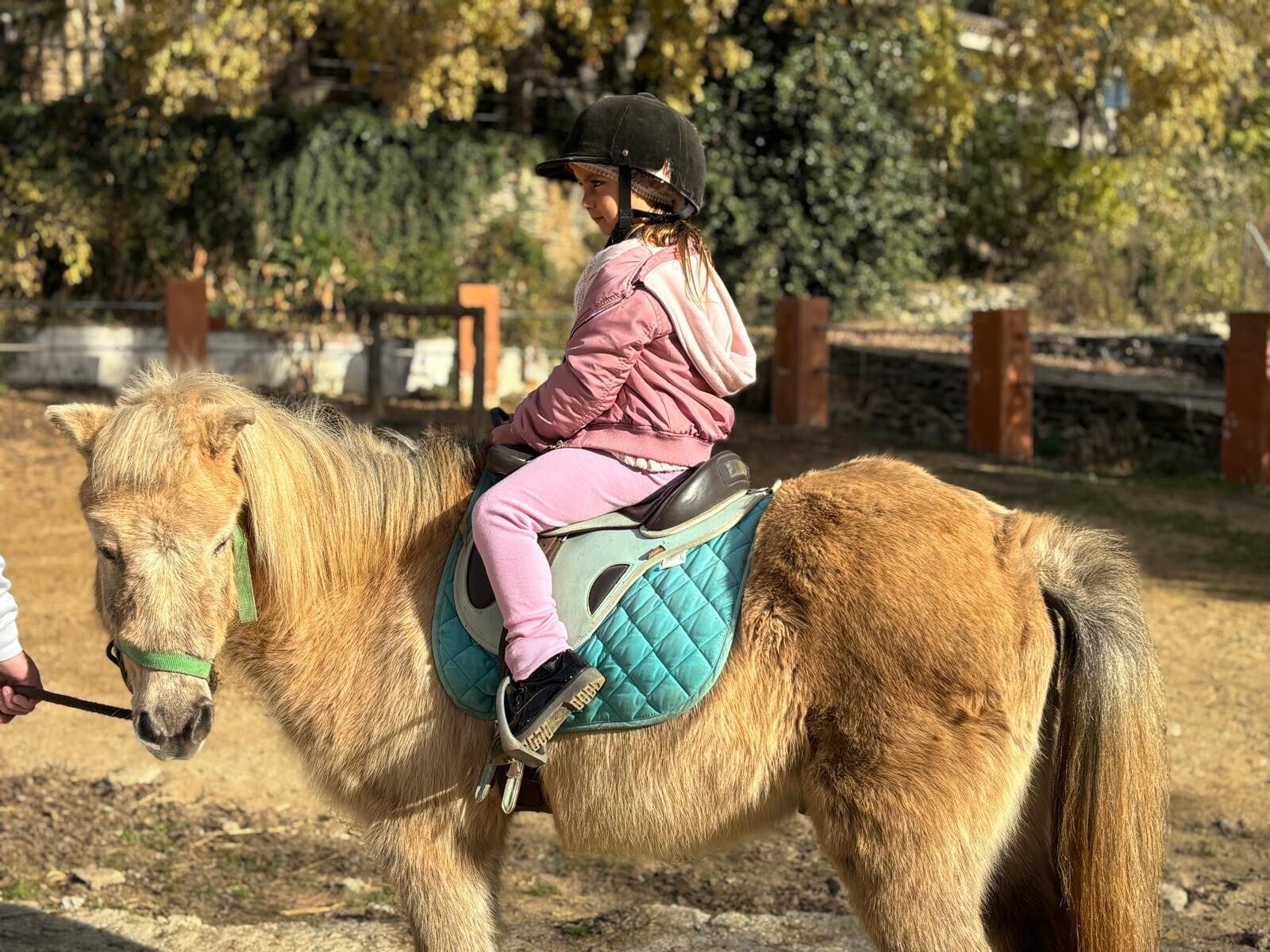 Ruta en Poni