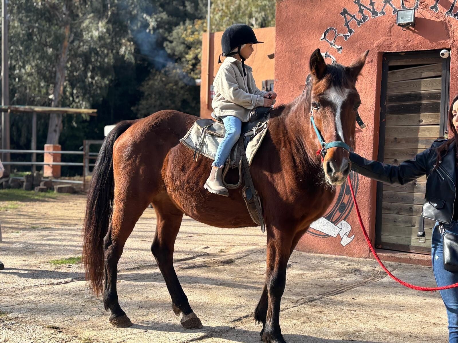 Paseo en caballo para un peque.