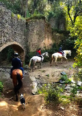 Ruta Guiada