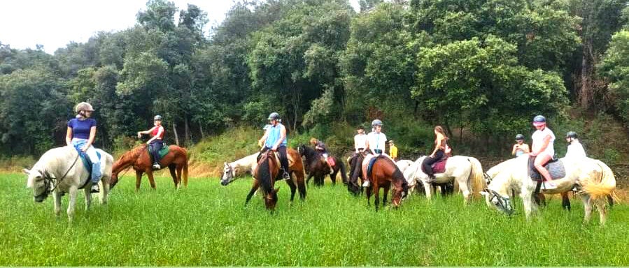 Excursiones familiares