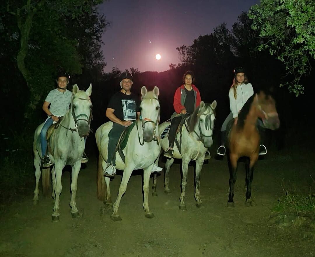 Rura a la luz de la luna llena