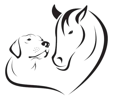 Pasion por los animales