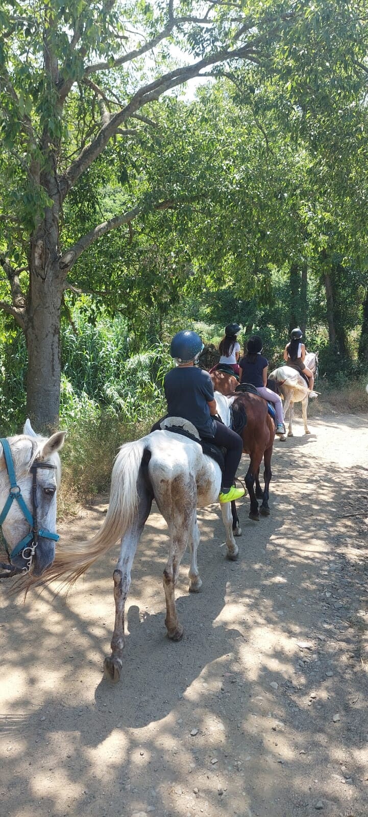 Rutas de 1 hora y media