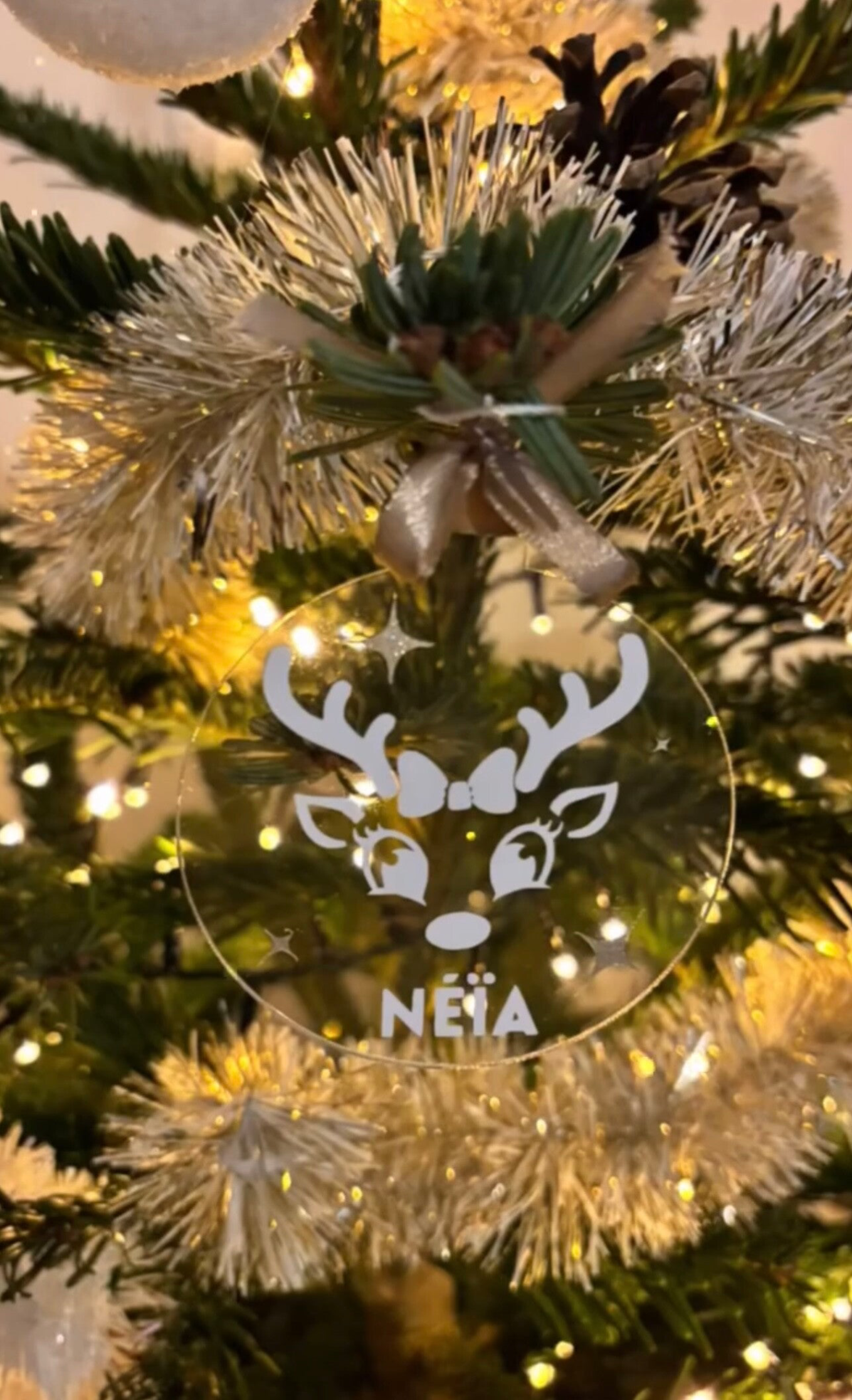 Boule de noel - RENNE