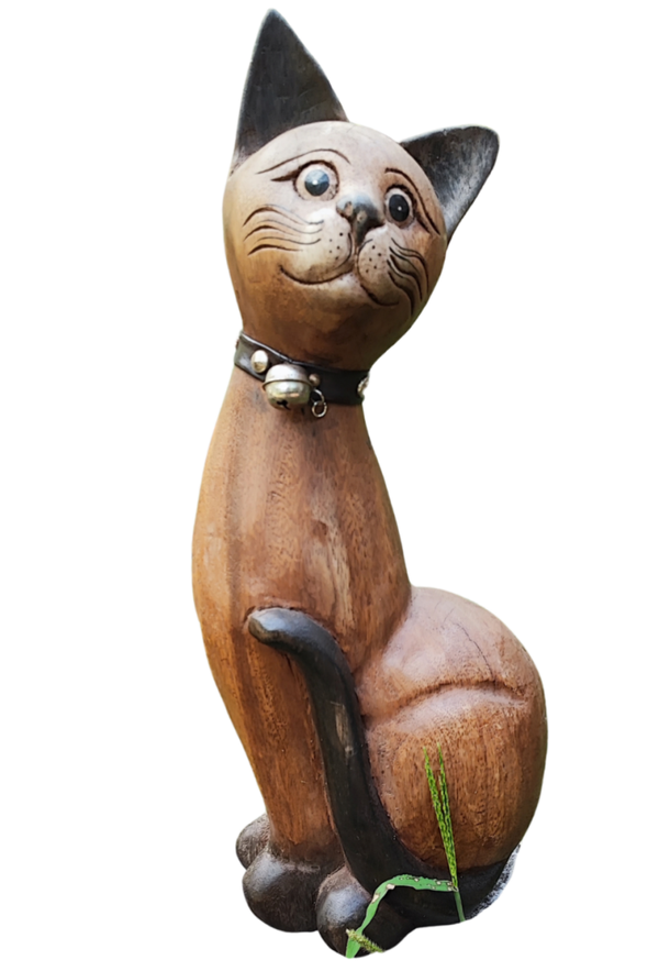 Gato