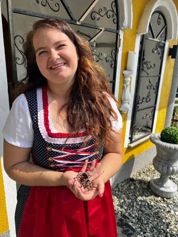 🕷️ Spannende Spinnenerlebnisse – Vorträge für Schulen, Gruppen & Tierfreunde