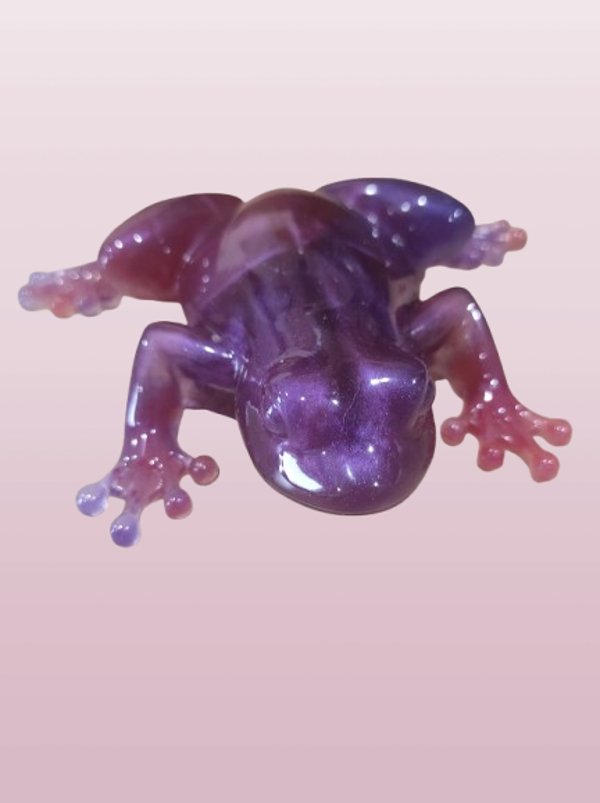 grenouille en résine