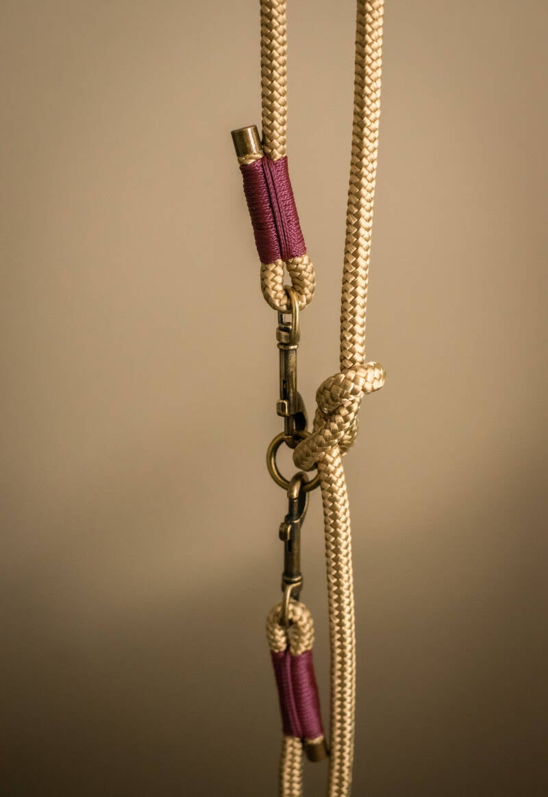 Goudbruin &amp; Aubergine