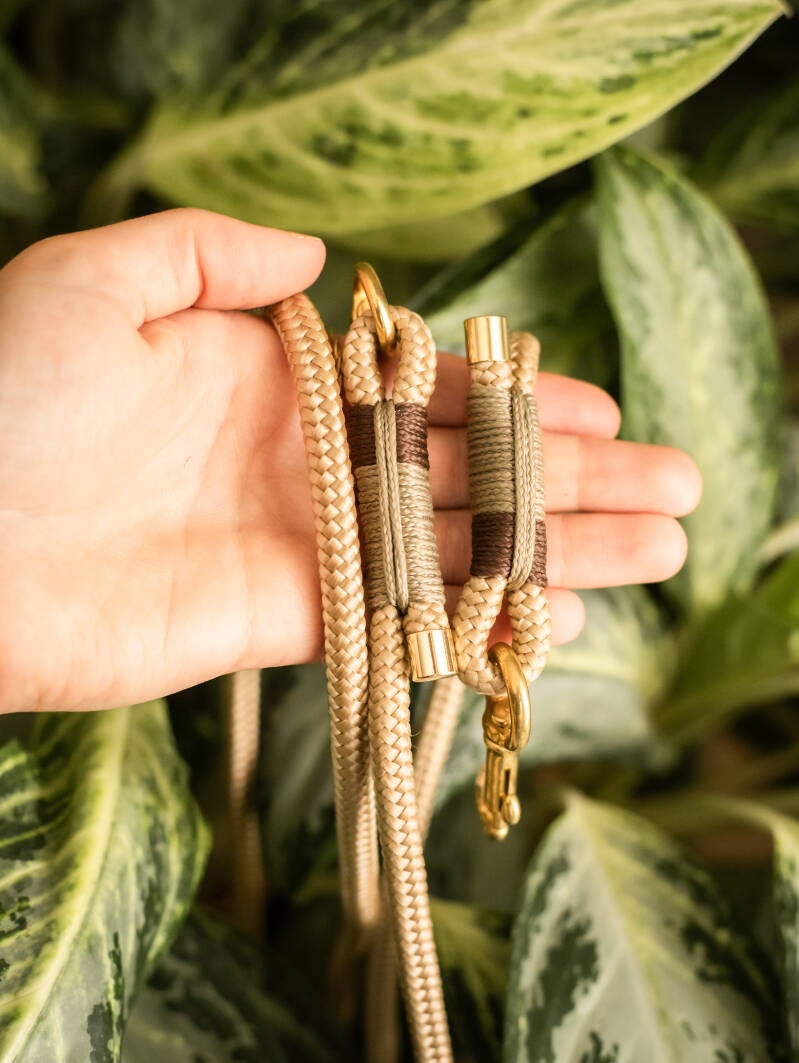 Beige, Tan &amp; Bruin