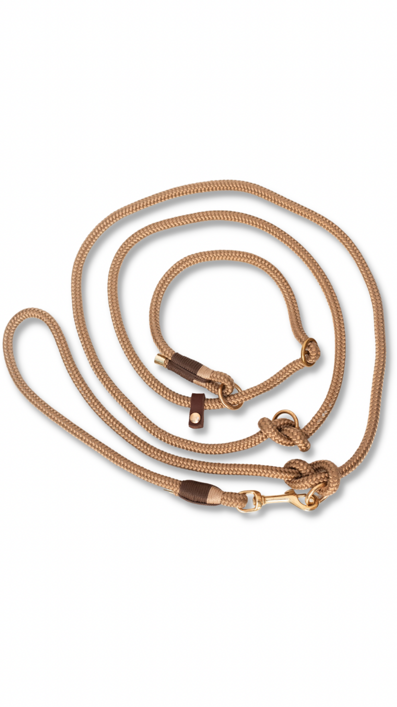 Goudbruin, Bruin &amp; Beige