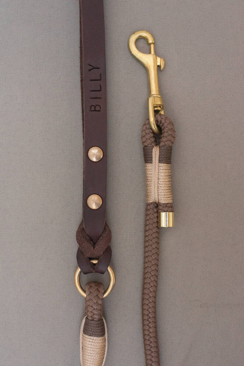 Chocobruin, Beige &amp; Bruin