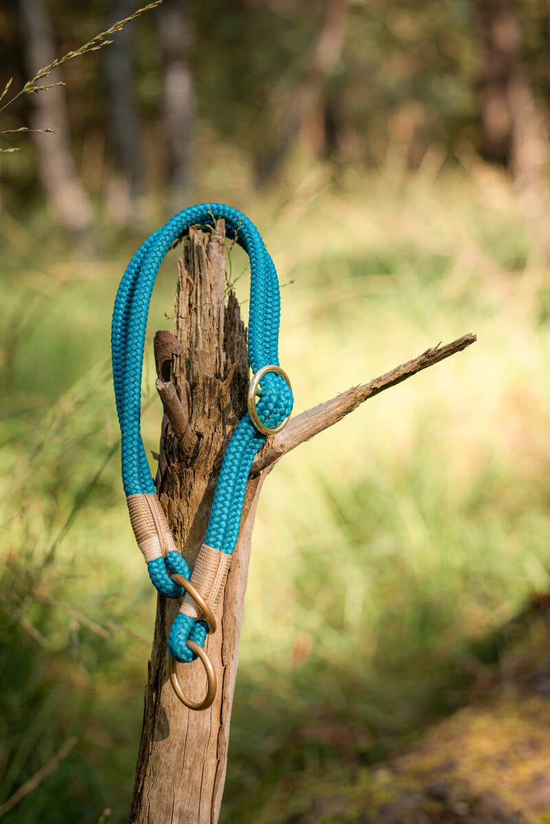 Aqua, Goudbruin &amp; Creme