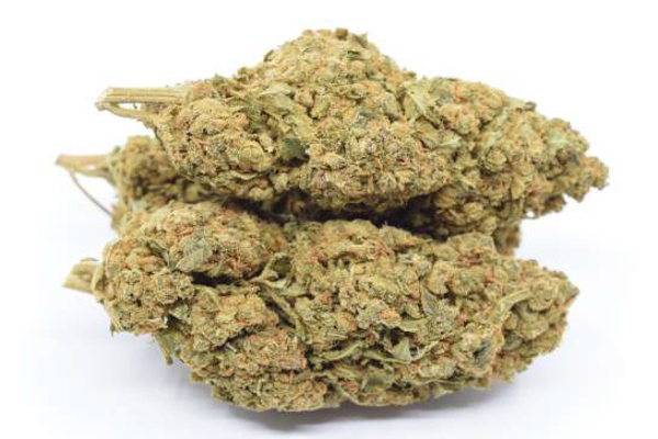 Green Dragon Indoor 15% CBD 0.3% THC sachet 3 grammes prix distributeur