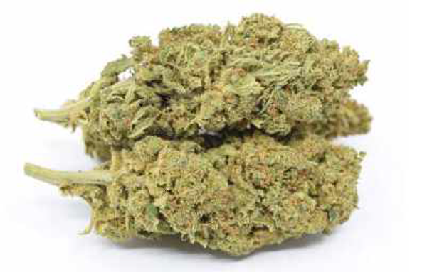 Jack Herrer Indoor 18% CBD 0,3% THC