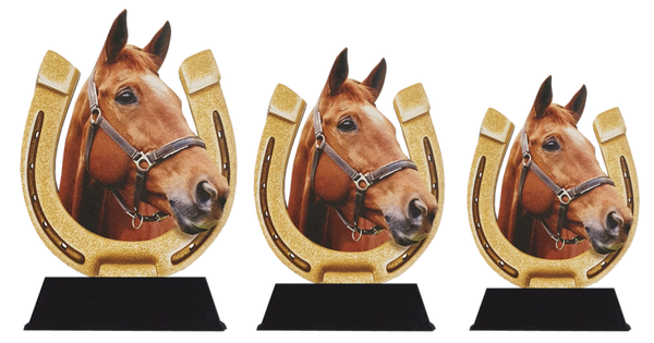 Paarden WT0171