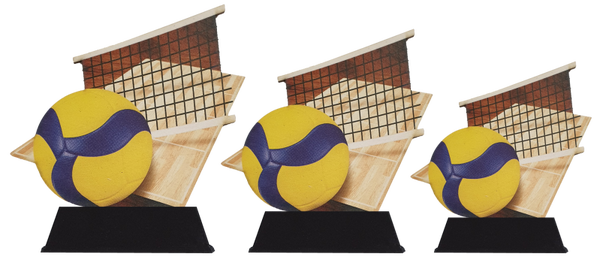 Volleybal WT 0201