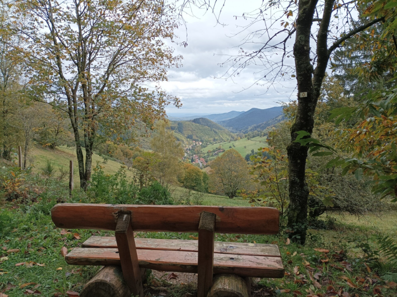 randonnée et marche méditative 