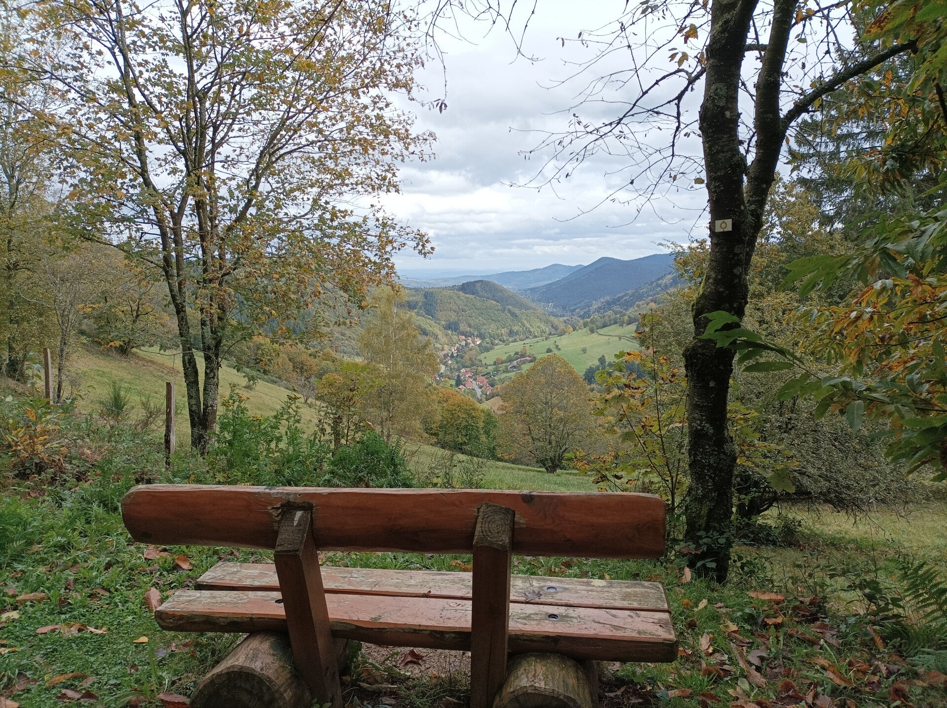 Le massif des Vosges et l'ambiance de la vallée de Villé, idéal pour les séjours yoga et randonnée. 