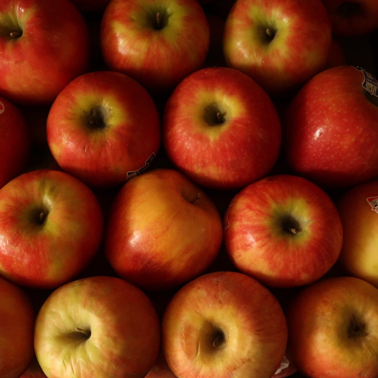 MANZANA ROYAL GALA