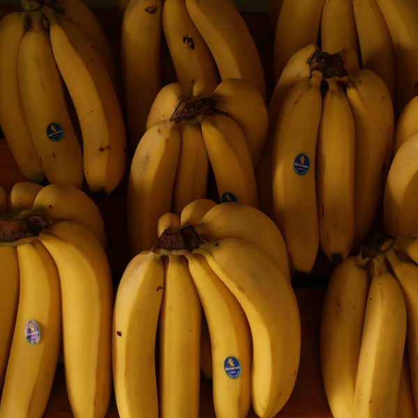 PLATANO ROATAN
