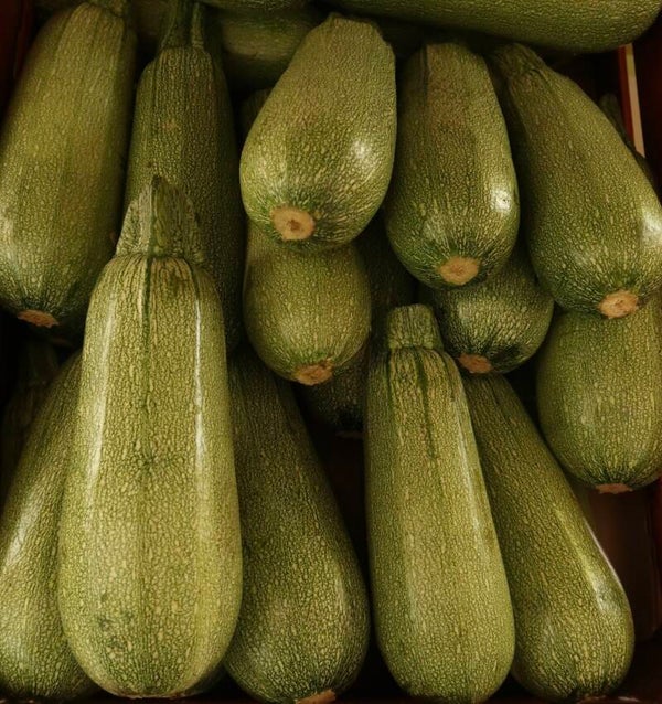 CALABAZA ITALIANA