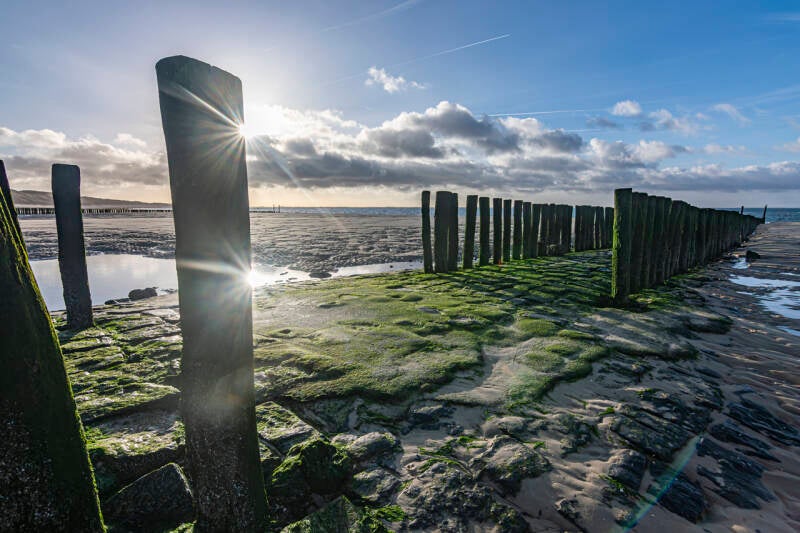 Golfbrkers of paalhoofden strand Zouteland in Zeeland