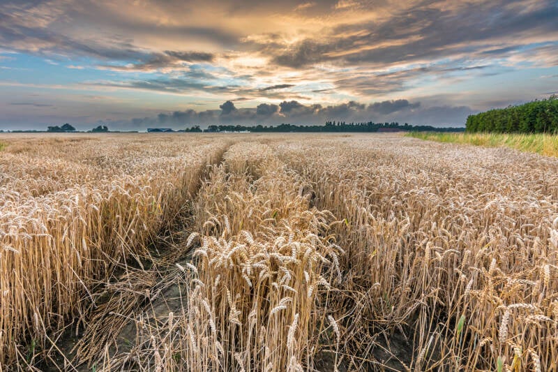 Mooi gekleurde luchten bij zonsondergang