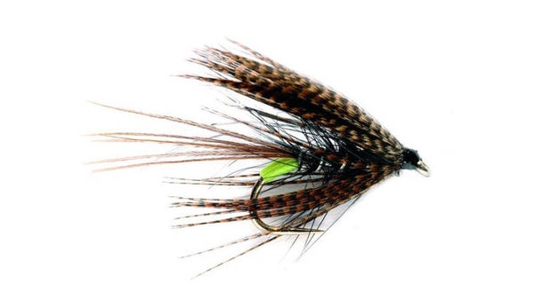 Dabbler Black #10