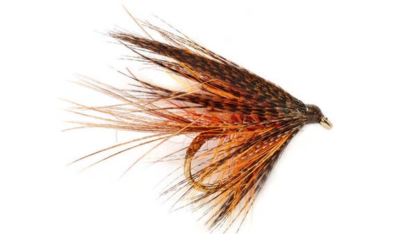 Dabbler Fiery Brown #10
