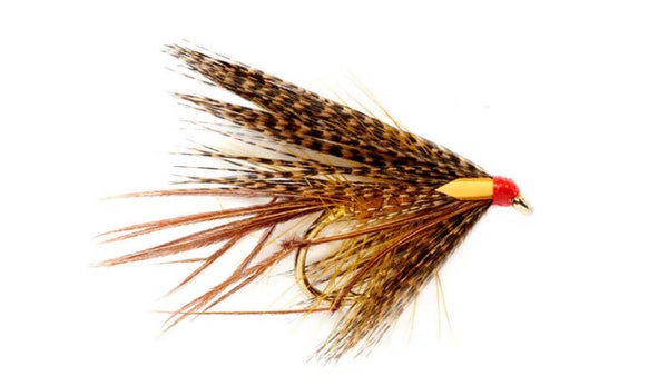 Dabbler Golden Leggy #10