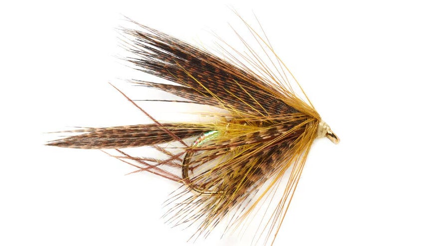 Dabbler Golden Olive #10