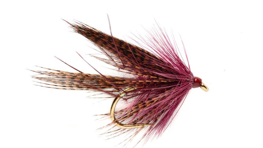 Dabbler Claret Leggy #10