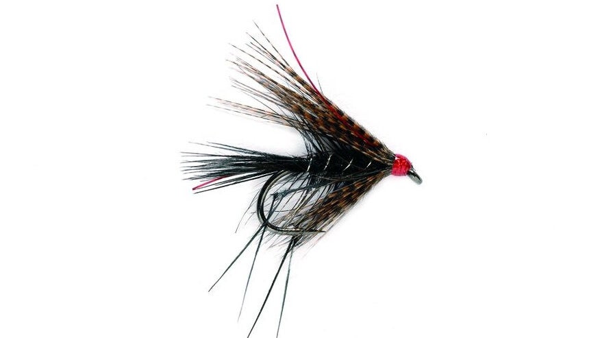 Dabbler Black Leggy #10
