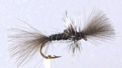 CDC Hatching Midge #16