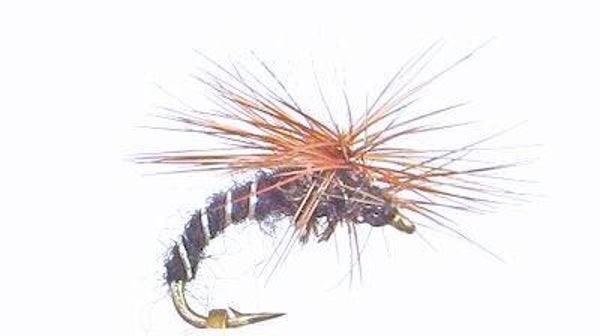 Klinkhamer Black #16