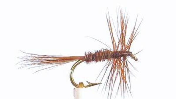 Pheasant Tail #16