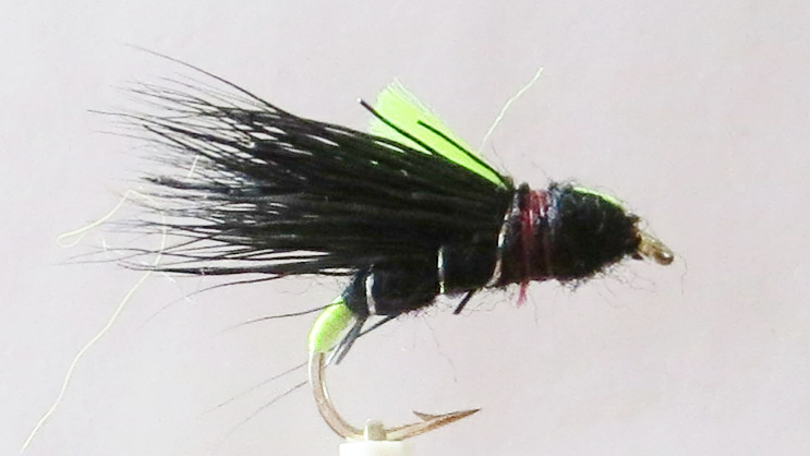 Black Sedgehog #14