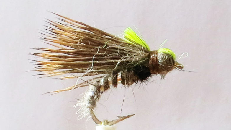 Haresear Sedgehog #10