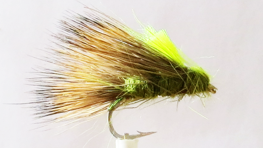 Olive Sedgehog #14