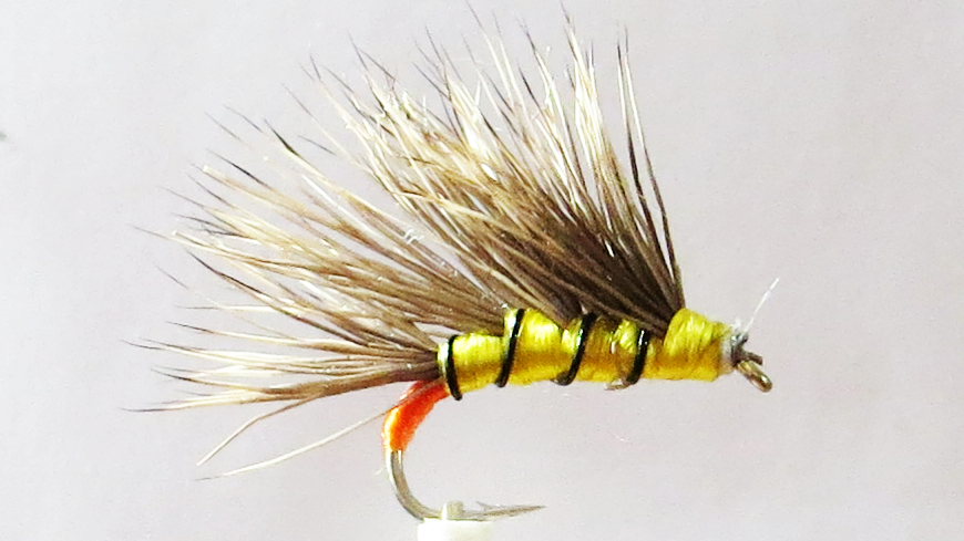 Yellow Owl Sedgehog #14