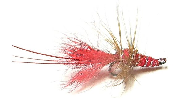 Red Francis Salmon Double 14