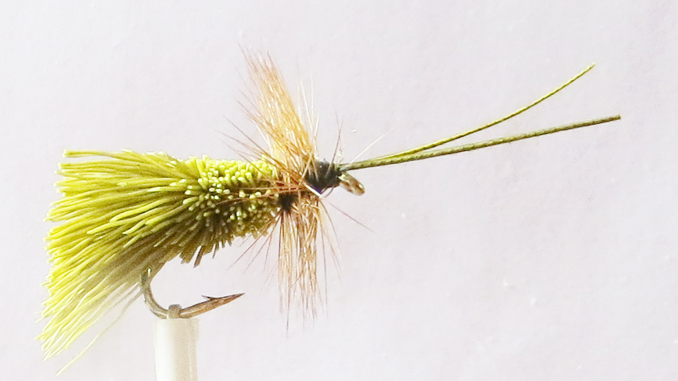 G & H olive Sedge #14
