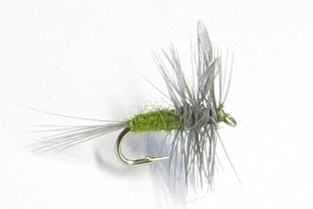 Blue Winged Olive #18