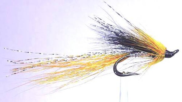 Ally's Cascade #12