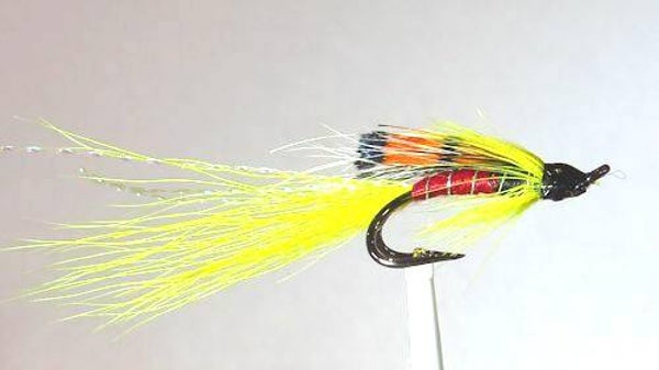 Allys Yellow Salmon Double 12