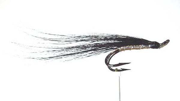 Collie Dog Salmon Double 12