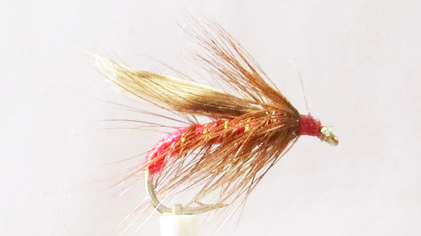 Red Sedge #14